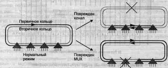 Физическая топология двойное ТОМ кольцо